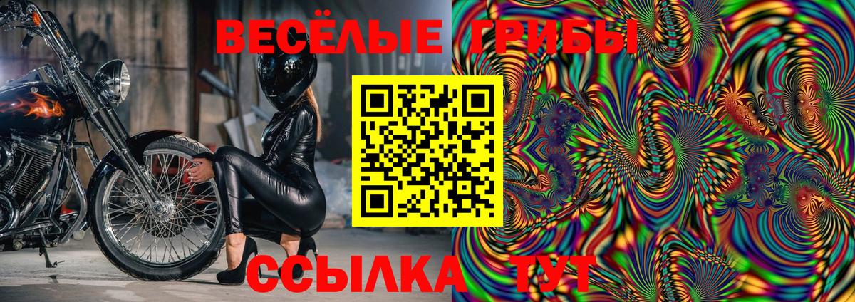 Псилоцибиновые грибы мицелий  Вход с VPN  Каспийск  где продают   Галлюциногенные грибы мицелий 