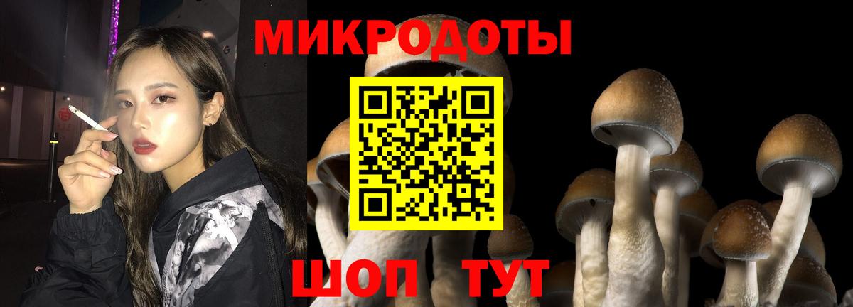Псилоцибиновые грибы ЛСД Каспийск
