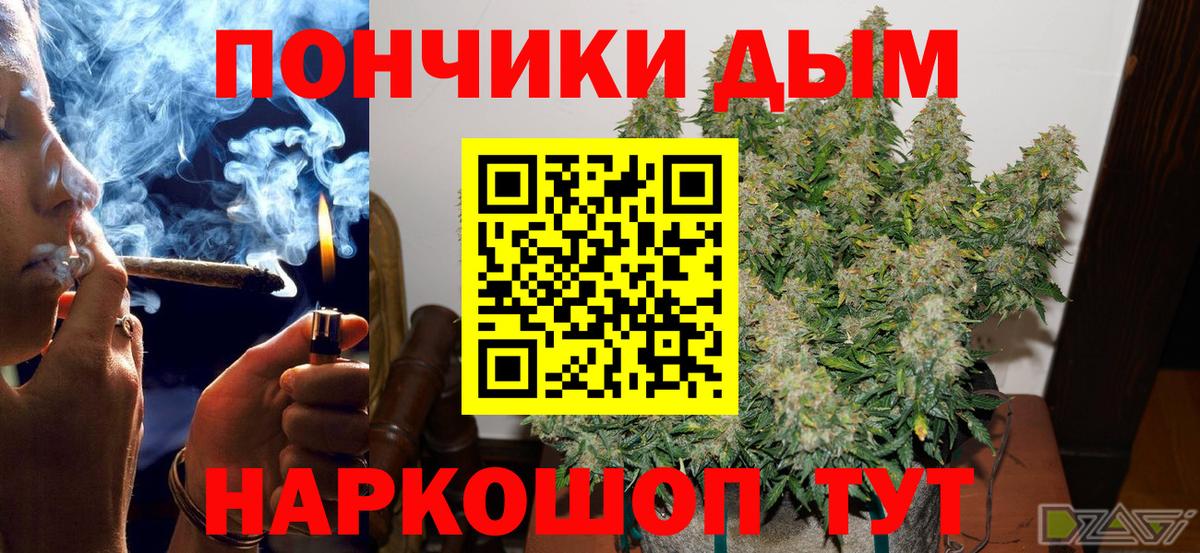 Канабис сатива  Бошки Шишки сатива  Конопля марихуана  Марихуана Bruce Banner  Вход с VPN  Каспийск 